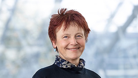 Ibolya Seifert, AV Ungarn
