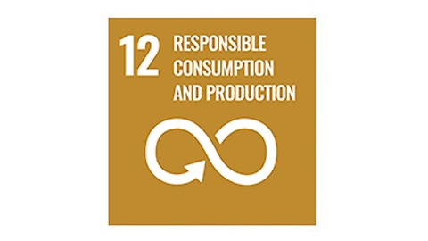 SDG 12: Responsible Consumtion and Production