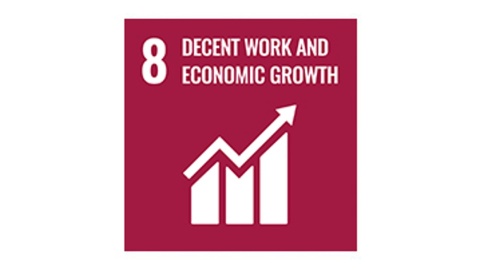 SDG 8: Decent Work and Economic Growth