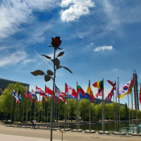 Isa Genzken: Rose, auf dem Geländer der Leipziger Messe Isa Genzken: Rose, auf dem Geländer der Leipziger Messe