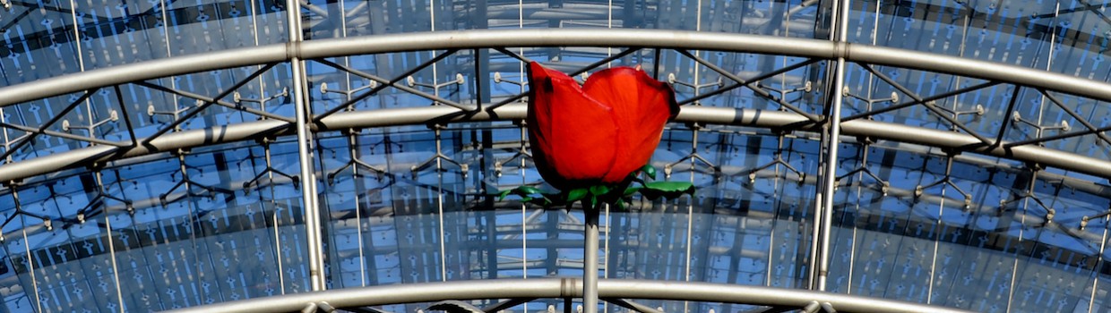 Rose, auf dem Geländer der Leipziger Messe