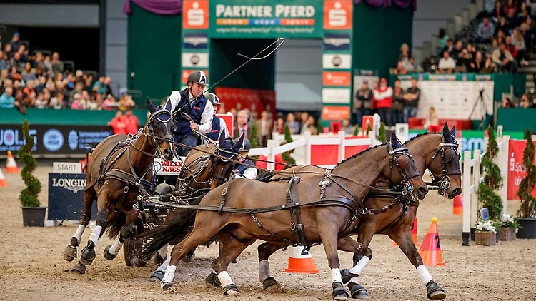 Foto: Boyd Exell (AUS), Bajnok, Barny 68 Demi, Orias, Rocket 123 (Quelle: EN GARDE Marketing, Stefan Lafrentz)