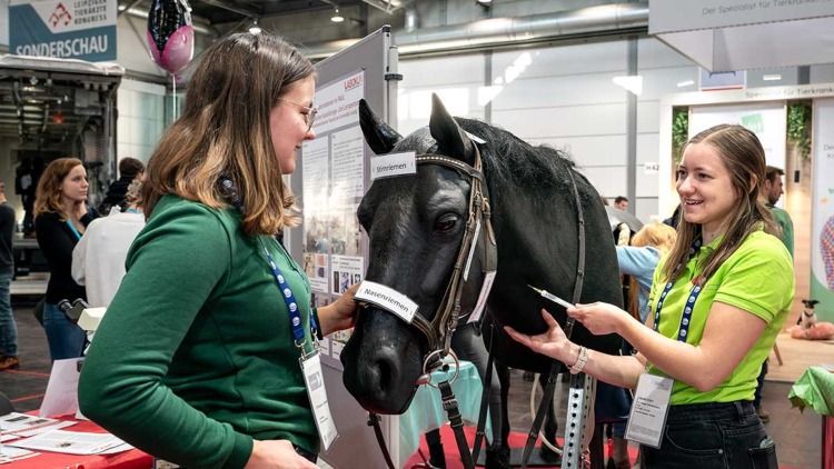 European Conference Education