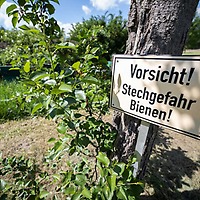 Bees at Leipziger Messe