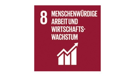 SDG 8: Menschenwürdige Arbeit und Wirtschaftswachstum