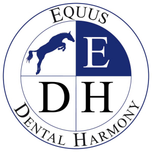 Equus Dental Harmony Sarl