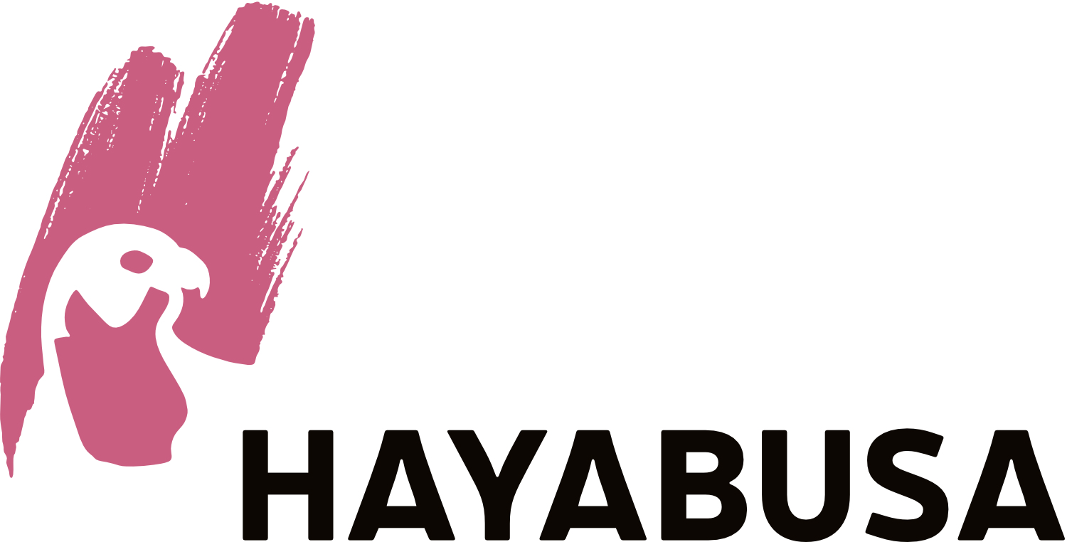 Hayabusa
Carlsen Verlag GmbH