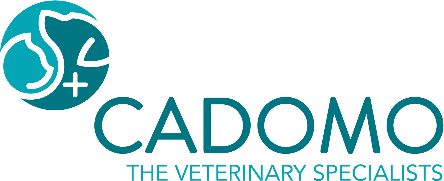 Cadomo Vets